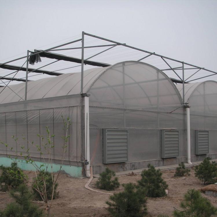 薄膜温室建造 薄膜连栋温室价格 连栋温室询价 养殖薄膜温室大棚一亩造价