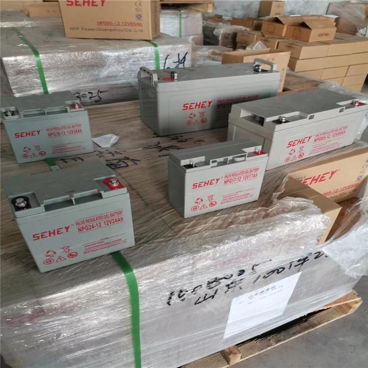 SEHEY蓄电池SH24-12 西力12V24AH UPS 直流屏备用电源专用 免维护铅酸电源