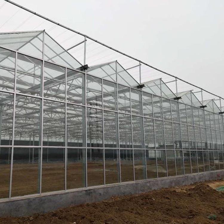 玻璃温室造价 种植大棚 金农温室安装