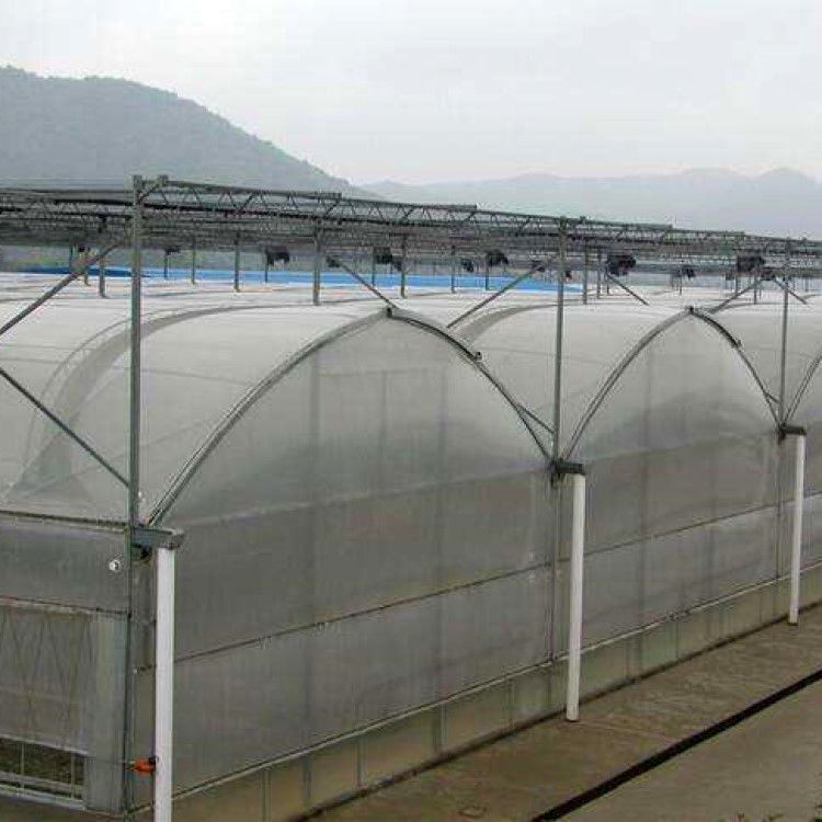 温室大棚造价 薄膜连栋温室建设 薄膜温室大棚每平米价格