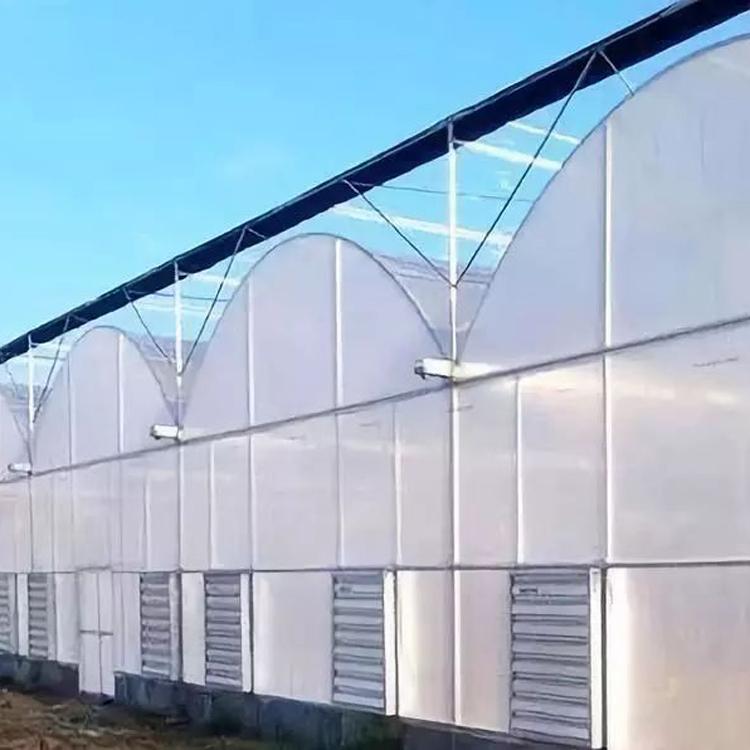 连栋薄膜温室  连栋温室厂家  连栋薄膜温室价格