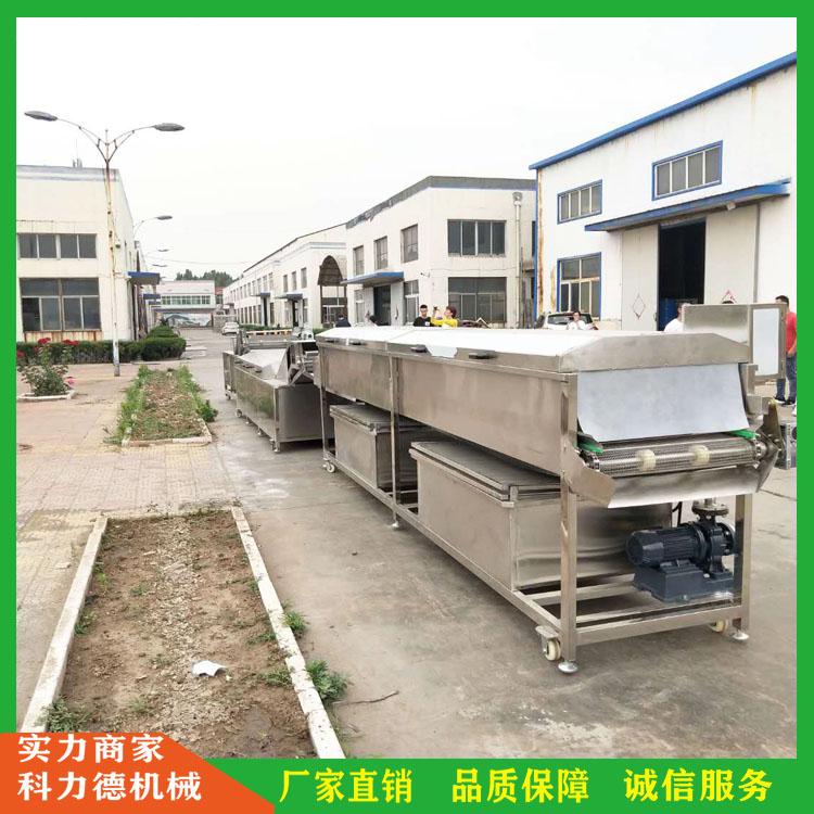 定制果蔬深加工设备 果蔬漂烫机 全自动净菜加工流水线 叶菜清洗流水线 蔬菜漂烫杀青冷却流水线