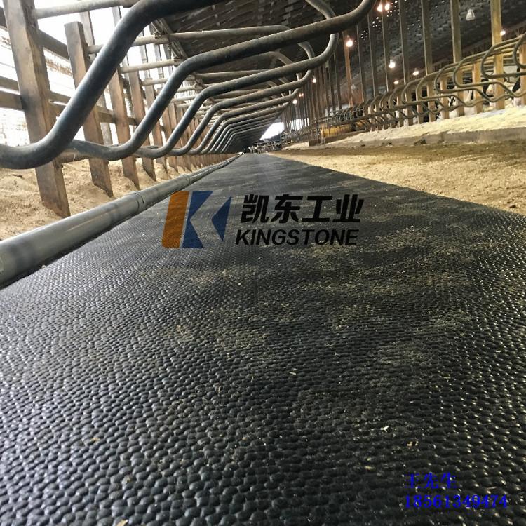 防潮垫 青岛凯东马棚垫 牛棚垫耐用加厚
