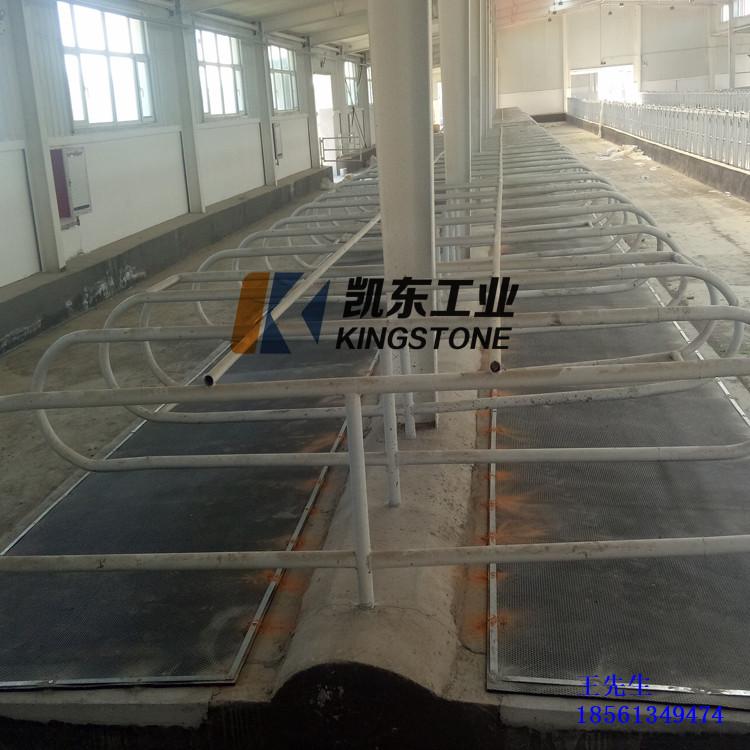 通道垫 青岛凯东马棚垫 牛棚垫耐用加厚