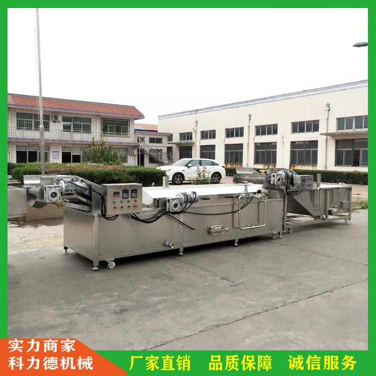 厂家定制毛豆漂烫冷却灭菌设备 大型果蔬杀青预煮流水线 网带式小白菜杀青漂烫成套流水线
