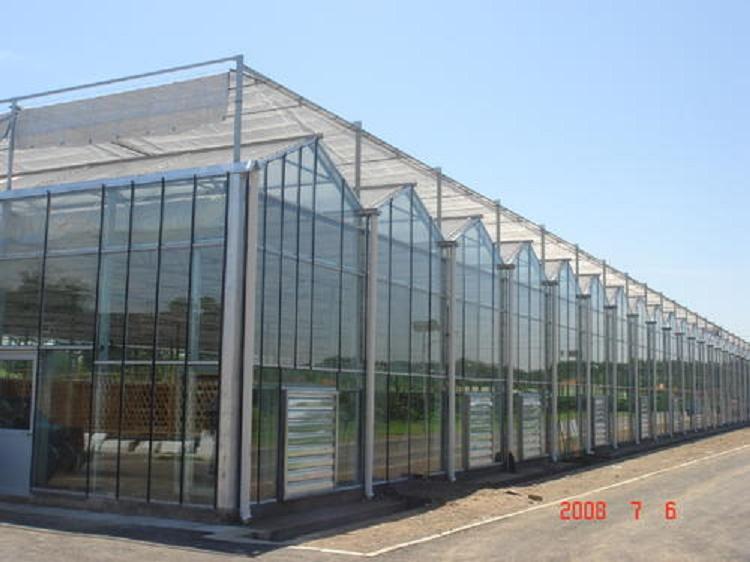 山东连栋智能温室建造 先丈量再设计 日光智能温室