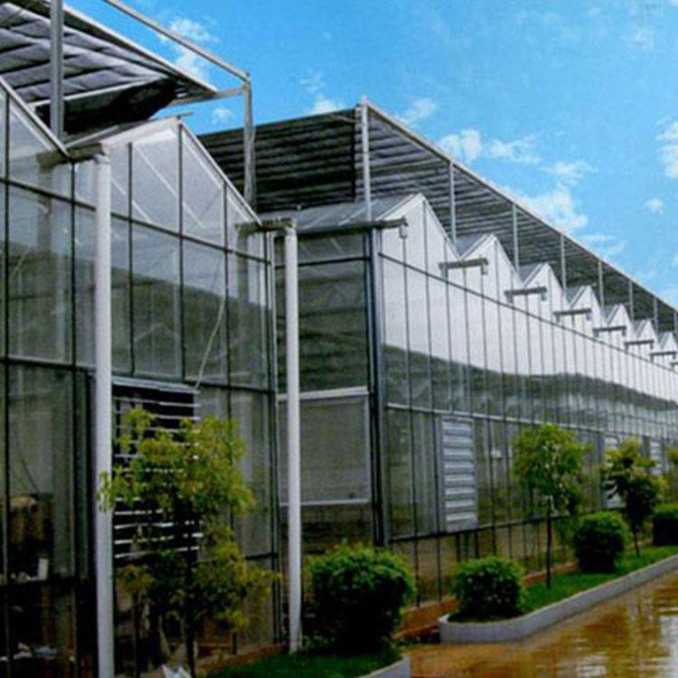 玻璃温室大棚价格 安徽玻璃温室大棚建造报价 农业种植玻璃温室