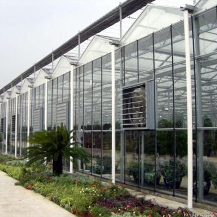 智能玻璃温室 阳凯建造  玻璃温室大棚造价