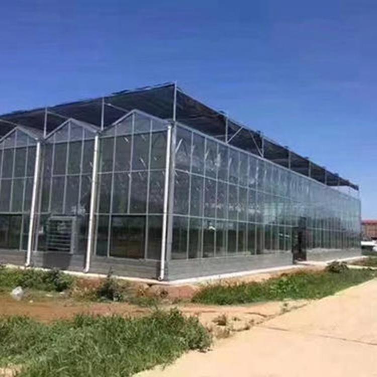 阳凯设计智能玻璃大棚 玻璃温室大棚安装 玻璃温室大棚造价