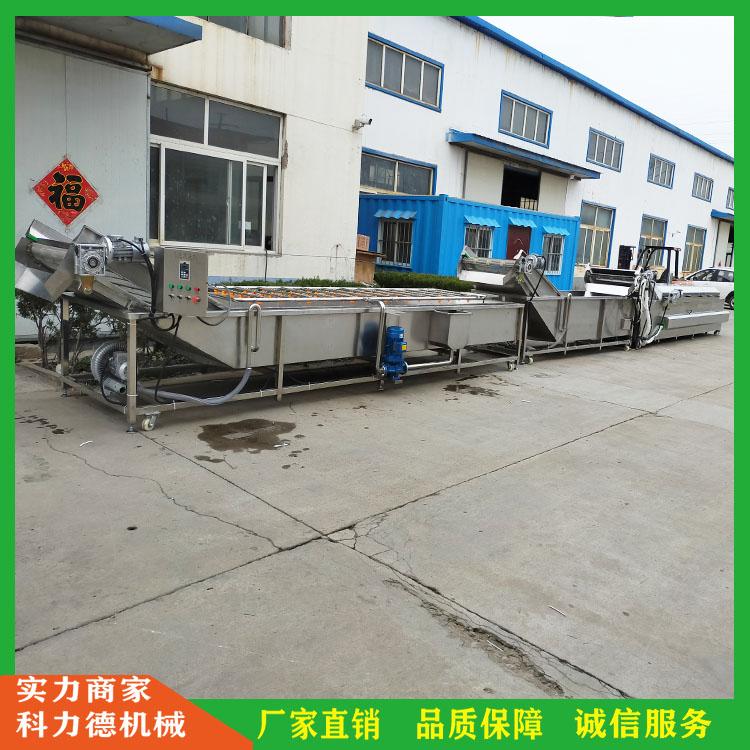 喷淋式果蔬清洗机 连续式蔬菜清洗设备 全自动气泡清洗机 多功能蔬菜去杂去泥机