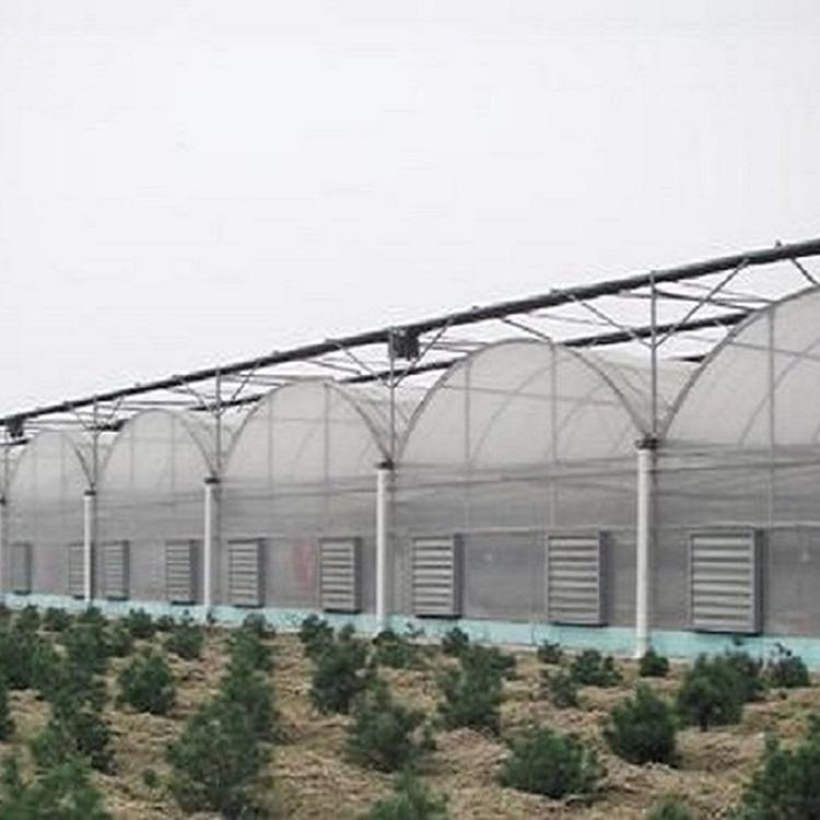 连栋薄膜大棚 连栋薄膜温室报价 价格优惠