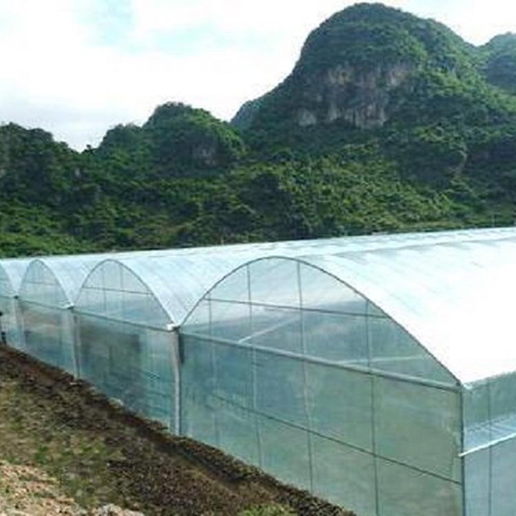 连栋薄膜温室大棚 连栋薄膜温室建设 价格优惠