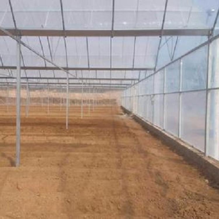 薄膜温室大棚 连栋薄膜温室建造价格 支持定制