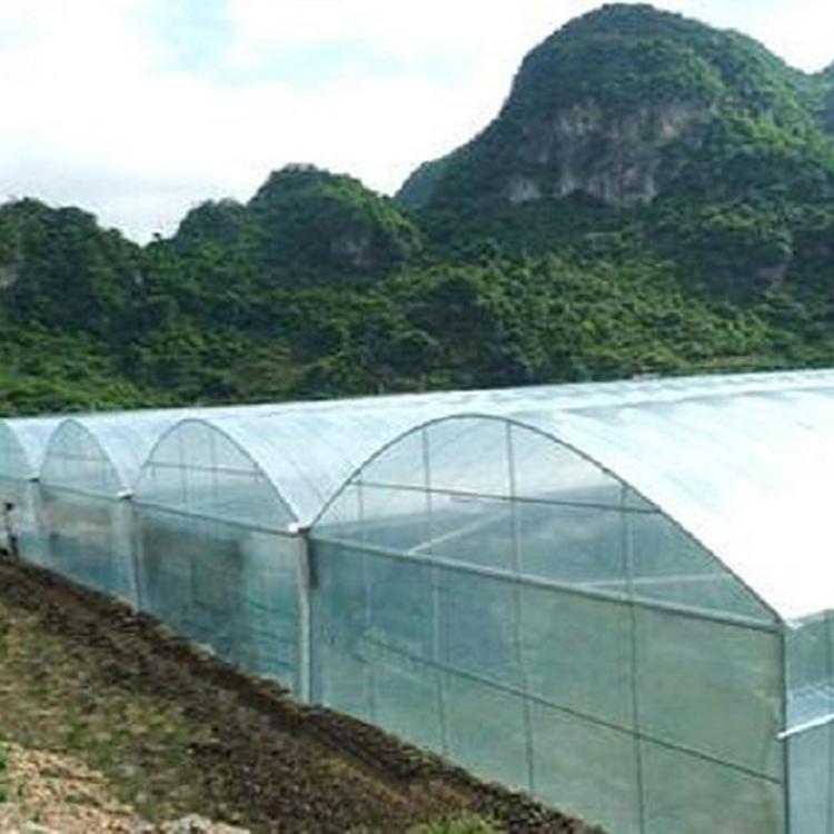 薄膜温室设计安装 连栋薄膜温室建造价格 价格优惠
