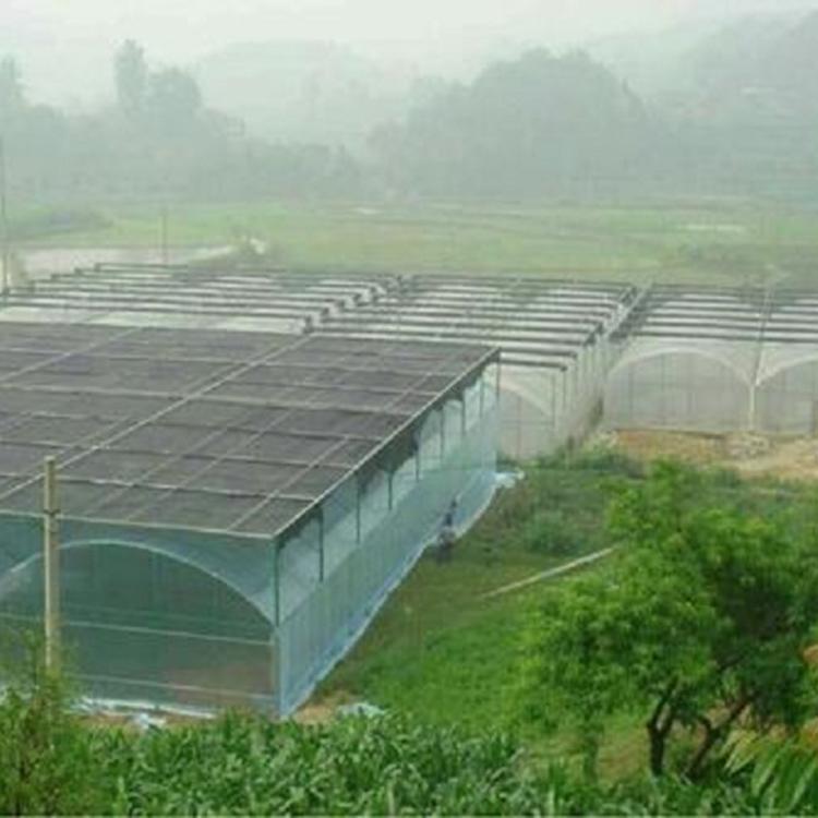 连栋薄膜大棚 连栋薄膜温室建设 支持定制