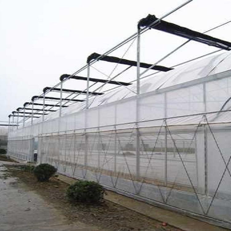 连栋薄膜温室大棚 连栋薄膜温室建设 阳凯温室工程建造