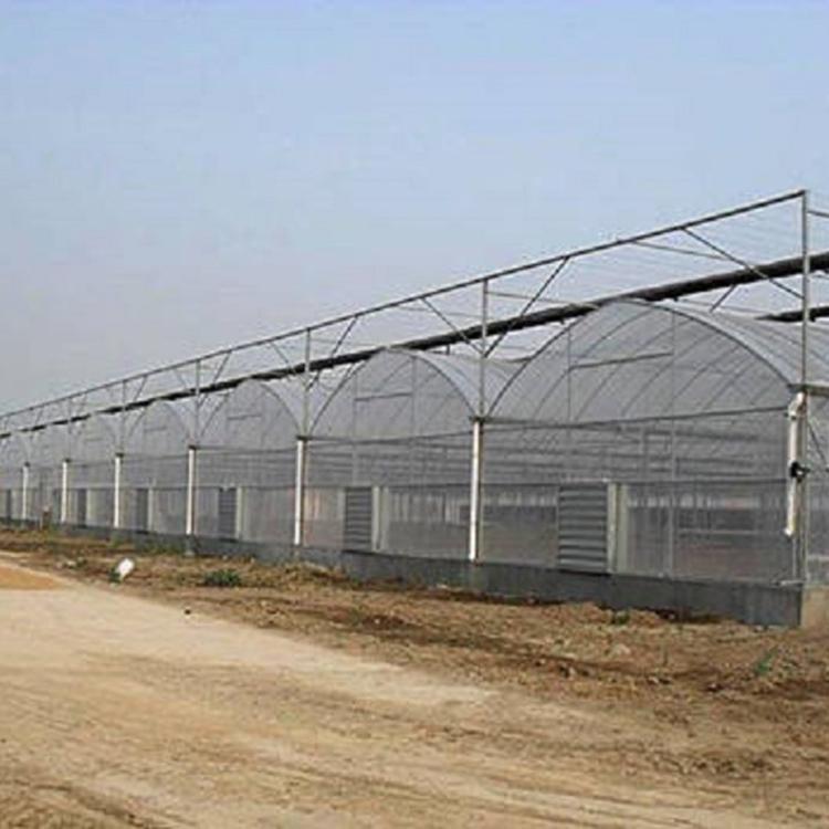 薄膜温室大棚 连栋薄膜温室建设 价格优惠