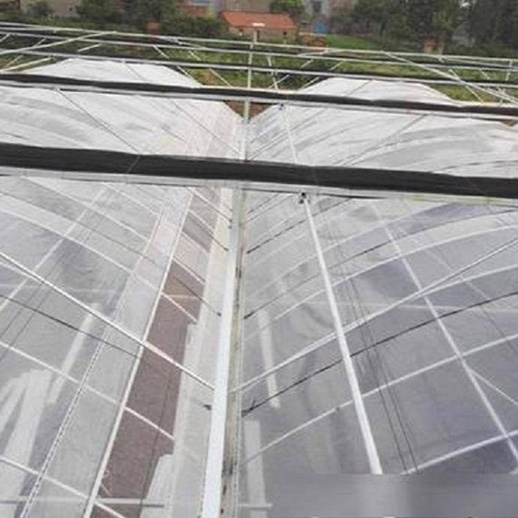 薄膜温室大棚 连栋薄膜温室承建 阳凯温室工程建造