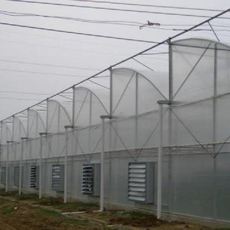 定制连栋薄膜温室 薄膜温室建造价格 品质保障