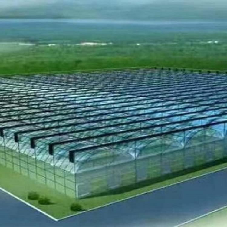连栋薄膜大棚 连栋薄膜温室报价 阳凯温室工程建造
