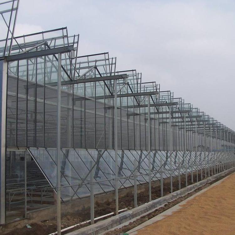 智能温室大棚 先丈量再设计 连栋智能温室建造商