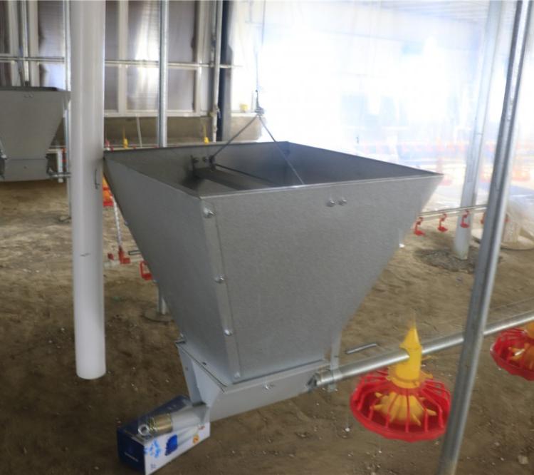 山东厂家定制饲料喂养专用自动化料线厂家现货