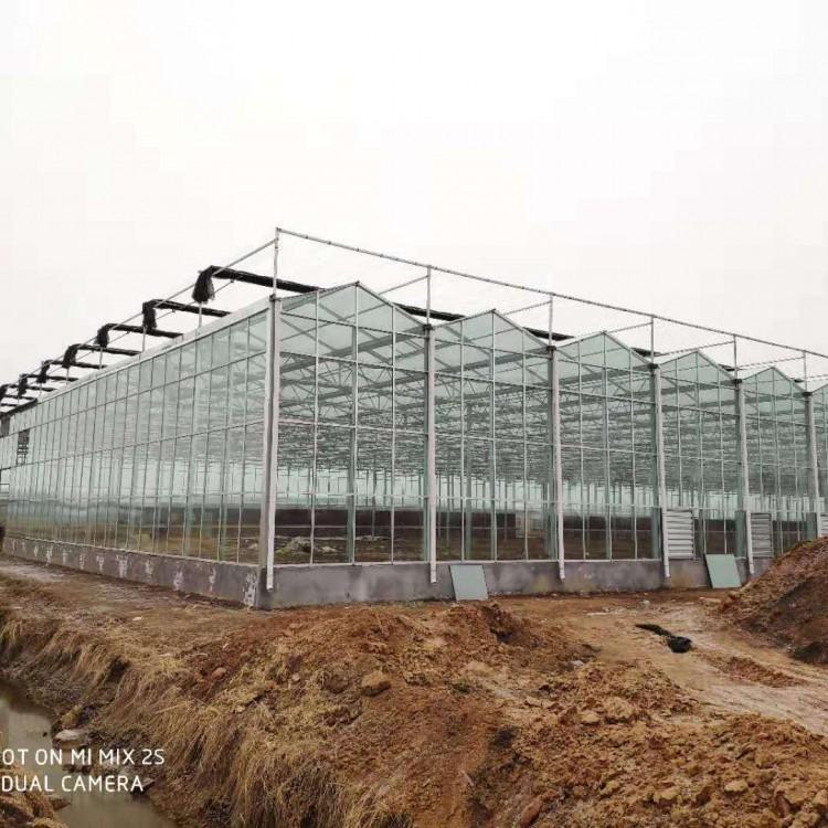 阳光板温室大棚建设工程 阳光板温室大棚造价