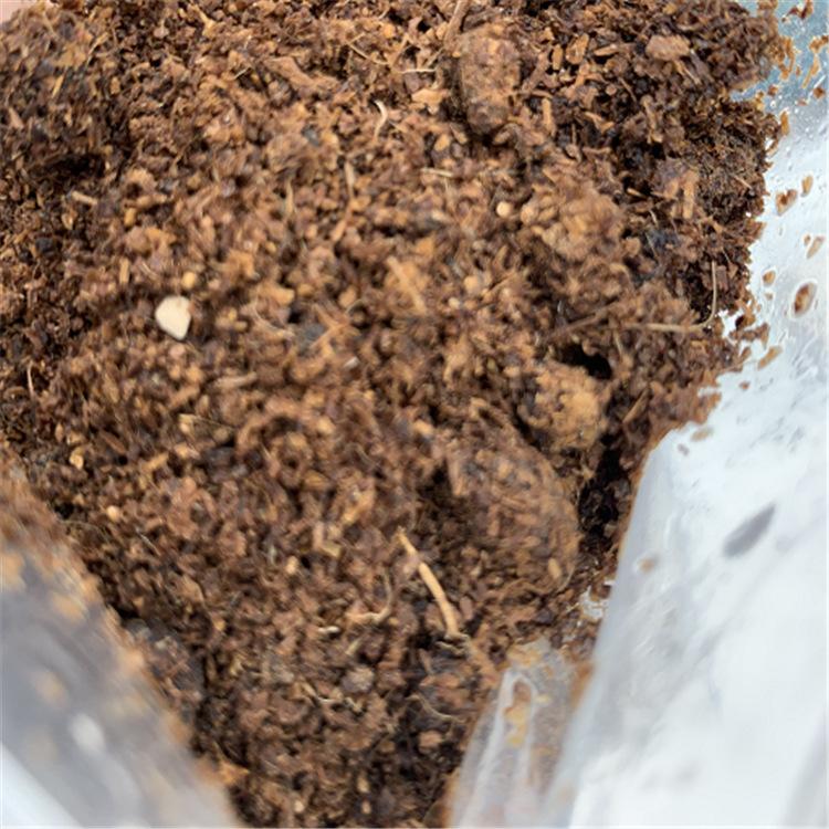 肉粉加麦糠 现货供应 发酵肉粉 供应