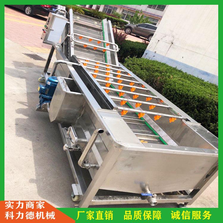 全自动洗菜净菜喷淋清洗机 酱菜腌菜气泡喷淋清洗机  臭氧消毒洗蔬菜机器 净菜加工生产线