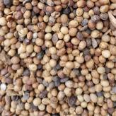大豆肥 大量供应 无压榨原形态大豆 供应