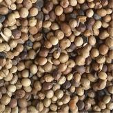 发酵大豆原料 砂糖橘种植肥 受损黄豆 供应