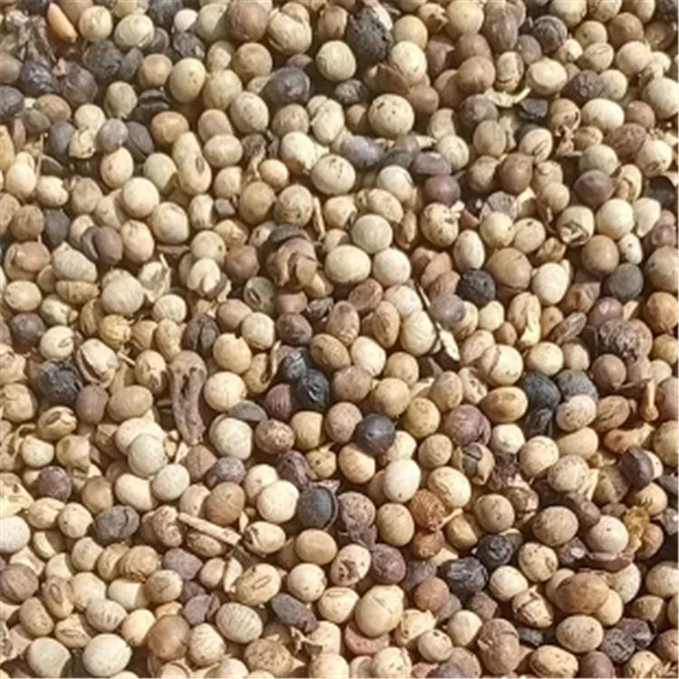 大豆肥 山东大豆肥料 受损黄豆 捷丰生物
