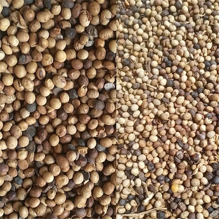 大豆肥 大量供应 有机肥 供应