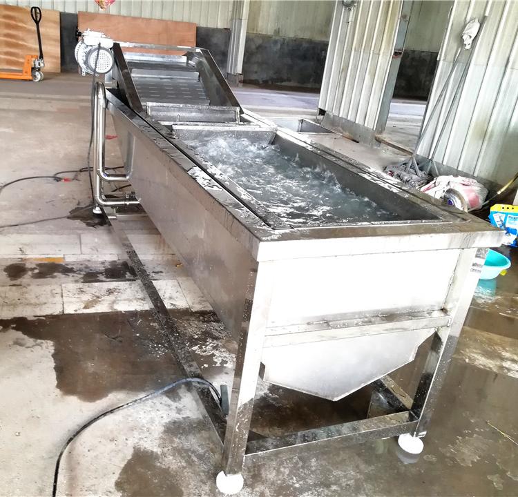 果蔬清洗机生产厂家  欢迎选购  水果清洗机销售