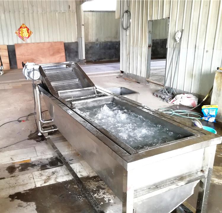 加工定制果蔬清洗机   果蔬清洗机出售   生产果蔬清洗机