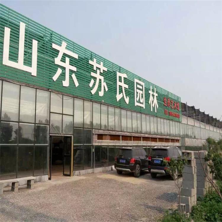 光伏温室大棚 光伏温室建设