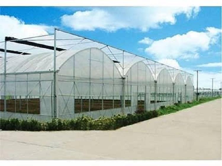 连栋温室 连栋温室质量保证 连栋温室建造推荐选阳凯温室