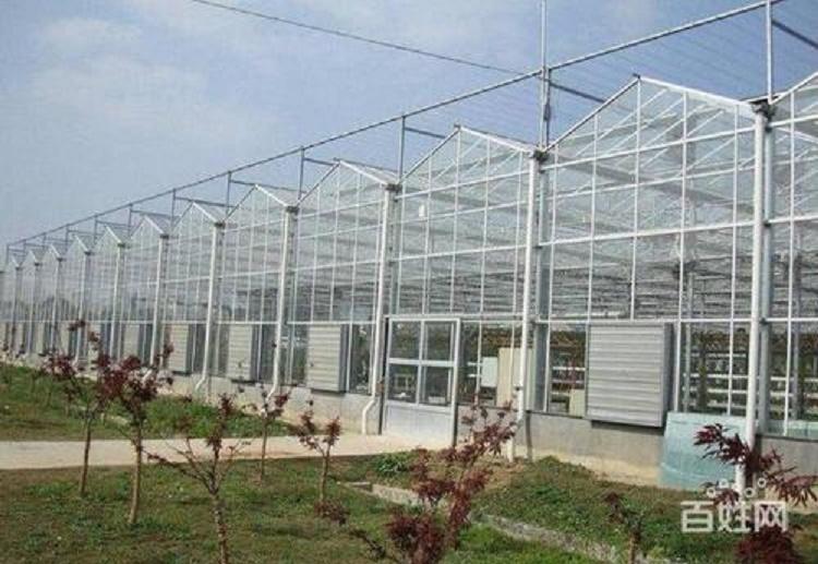 玻璃温室大棚 智能温室  蔬菜温室连栋大棚