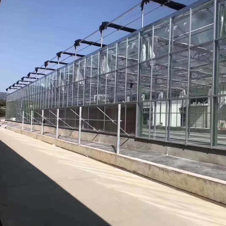 智能温室价格 玻璃温室