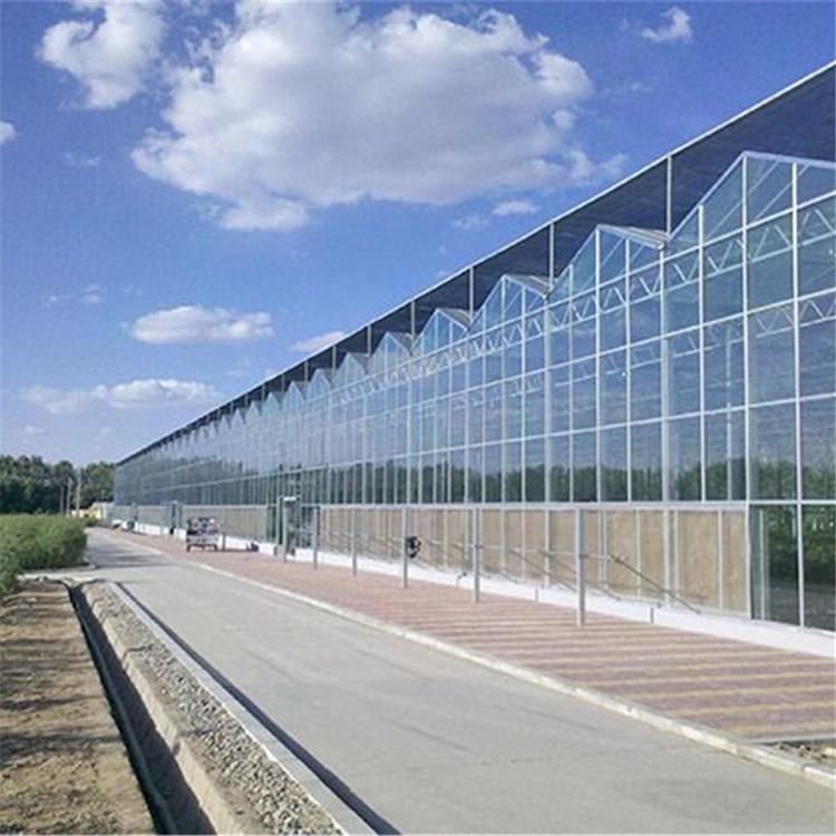 承建各类玻璃温室工程 连栋玻璃温室大棚 免费测量