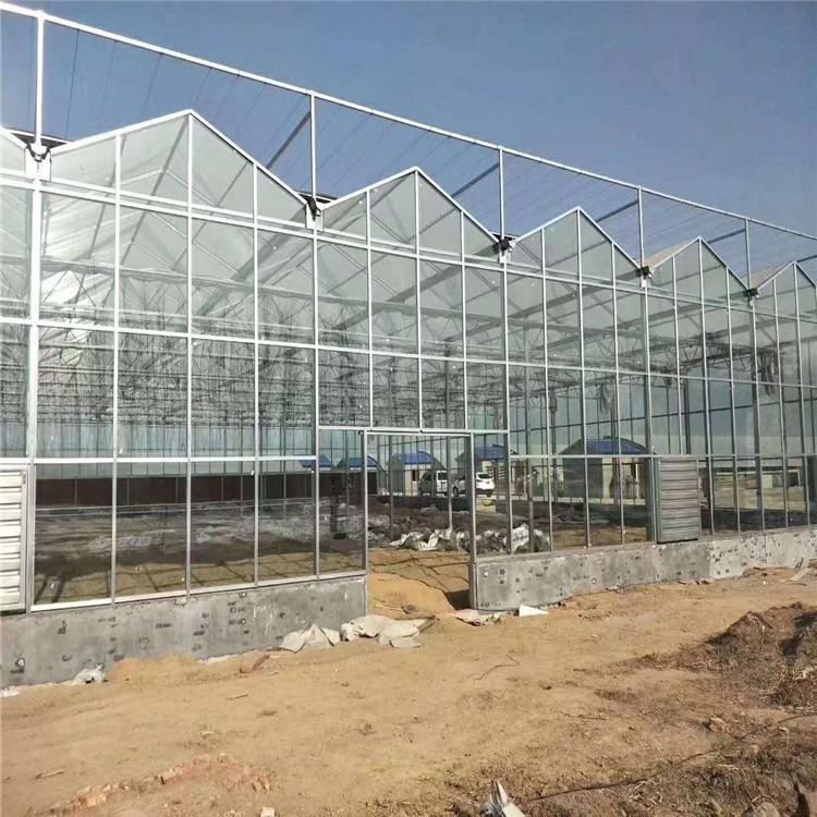 智能温室造价 连栋智能温室大棚