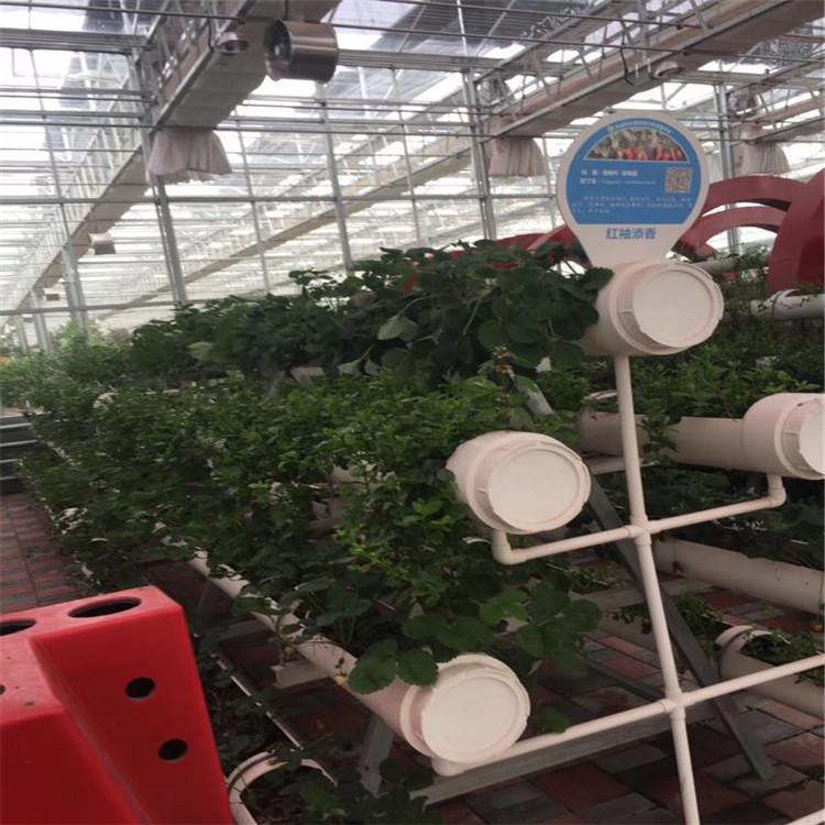 蔬菜大棚 蔬菜温室报价 蔬菜温室价格