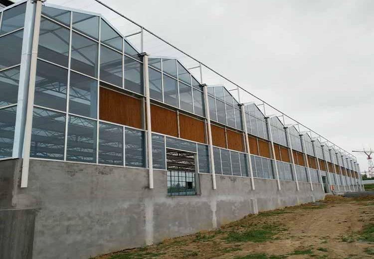 阳凯玻璃温室 玻璃温室建造 玻璃温室报价 玻璃温室承建
