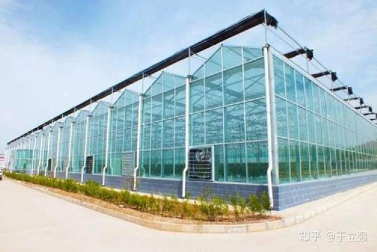 山东青州阳凯温室智能玻璃温室 智能温室建设 智能温室大棚