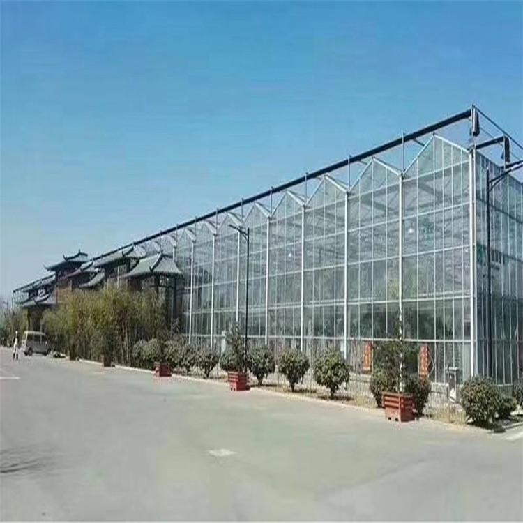 温室大棚建设-温室大棚厂家-温室大棚供应