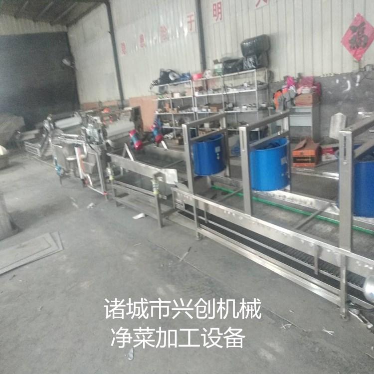供应果蔬清洗设备 萝卜清洗机 全自动果蔬清洗设备报价