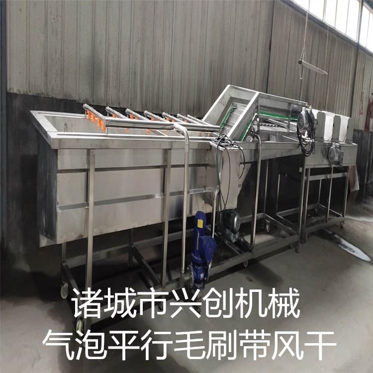 全自动果蔬清洗设备 柠檬清洗毛刷机 西红柿清洗设备报价