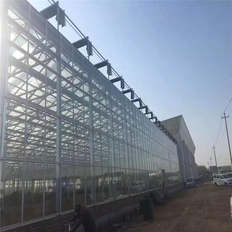 玻璃大棚 玻璃大棚建设 玻璃大棚生产厂家