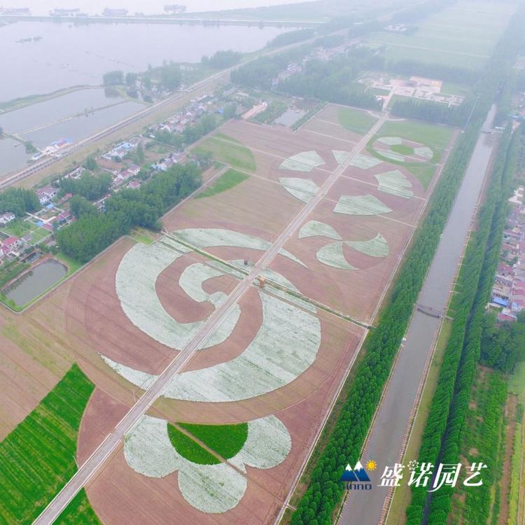 花海造型 梯田丘陵花海工程 基地 供应商 资金预算