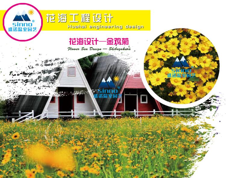花海景区 花卉公园 培育花苗 策划书 旅游规则